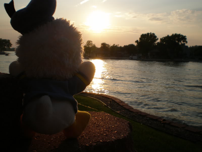 Name:  P7040076.jpg
Views: 44
Size:  55.0 KB