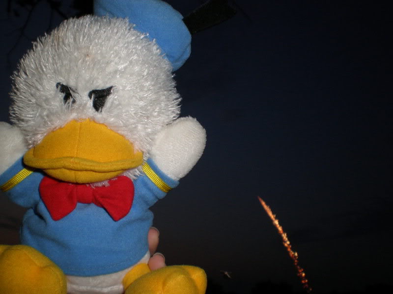 Name:  P7040078.jpg
Views: 71
Size:  50.4 KB