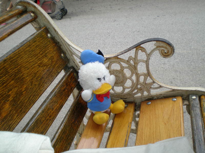 Name:  P7050217.jpg
Views: 49
Size:  77.6 KB