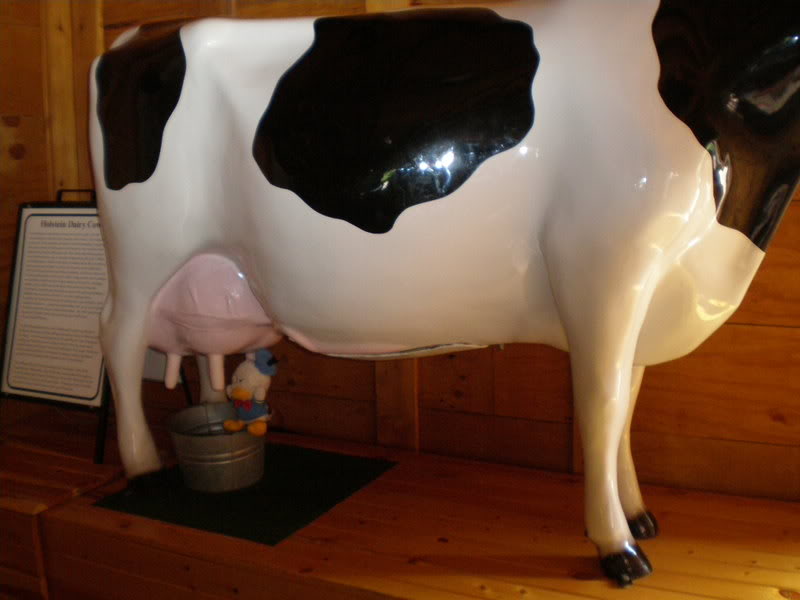 Name:  P7060227.jpg
Views: 51
Size:  47.9 KB