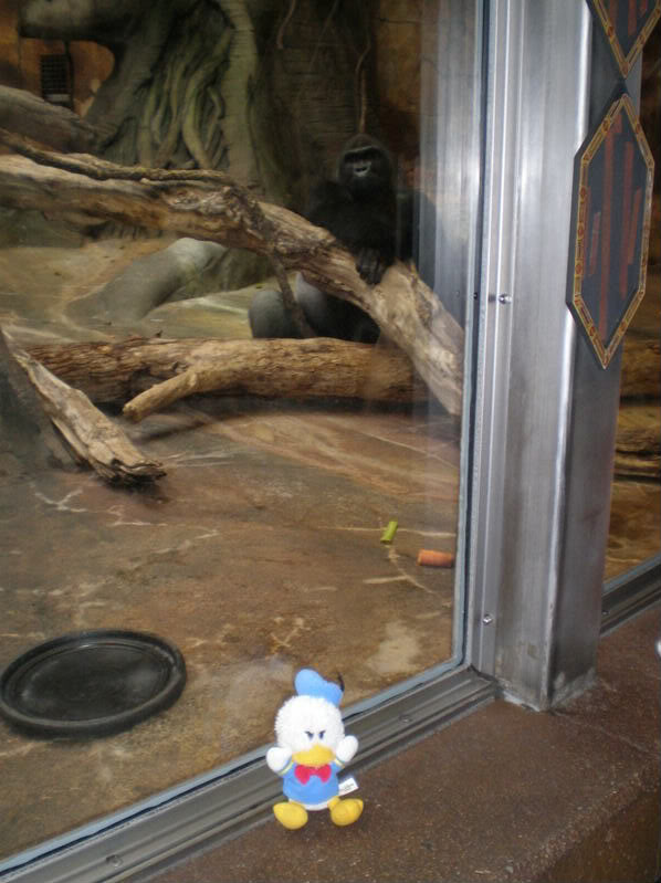 Name:  P7060246.jpg
Views: 40
Size:  75.6 KB