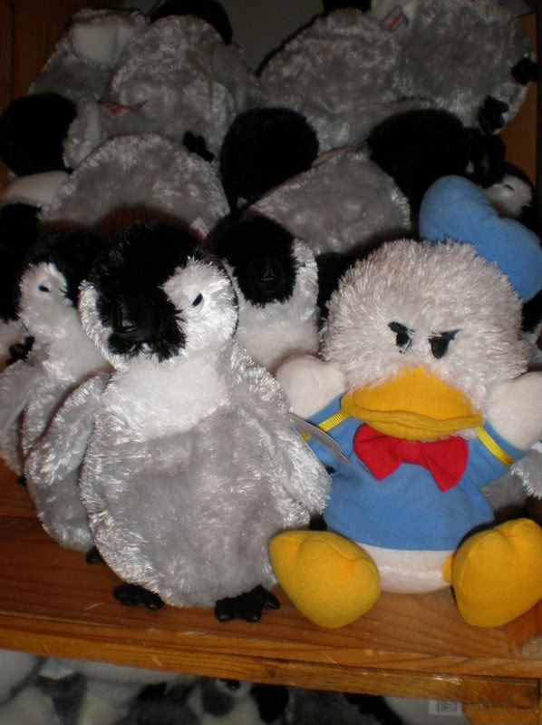 Name:  P7060276.jpg
Views: 52
Size:  72.6 KB