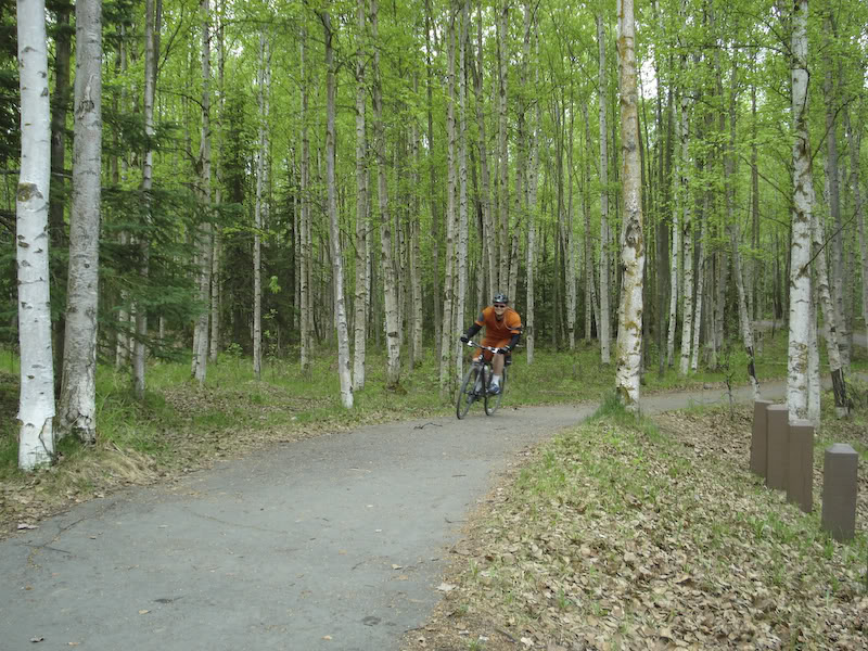 Name:  DSC01427.jpg
Views: 59
Size:  176.7 KB