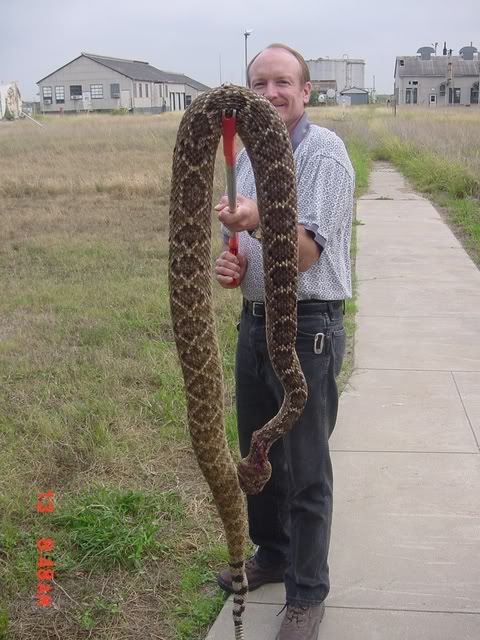 Name:  9rattler.jpg
Views: 218
Size:  75.4 KB