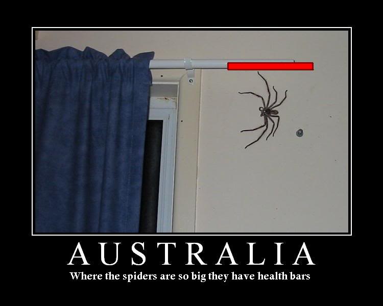 Name:  spidershealthbars.jpg
Views: 229
Size:  32.5 KB