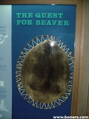 Name:  beaver.jpg
Views: 235
Size:  24.5 KB