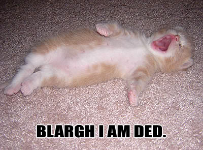 Name:  blarg.jpg
Views: 32
Size:  36.8 KB