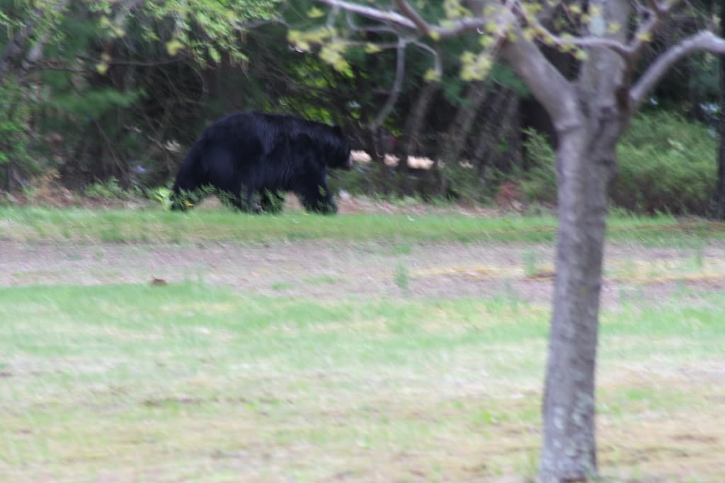 Name:  IMG_5138.jpg
Views: 31
Size:  86.2 KB