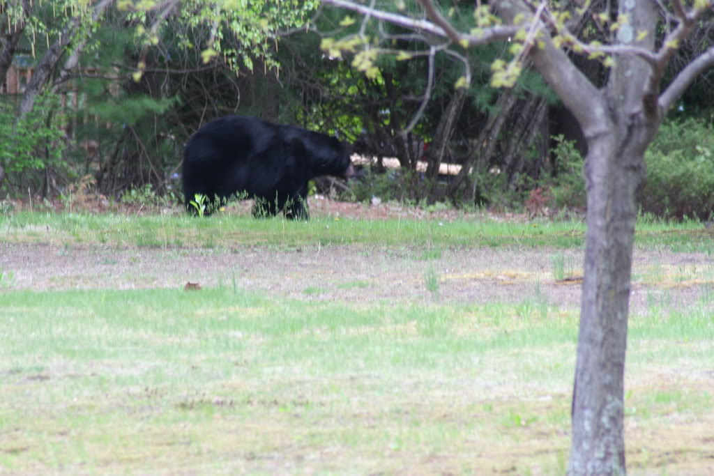 Name:  IMG_5137.jpg
Views: 47
Size:  114.0 KB