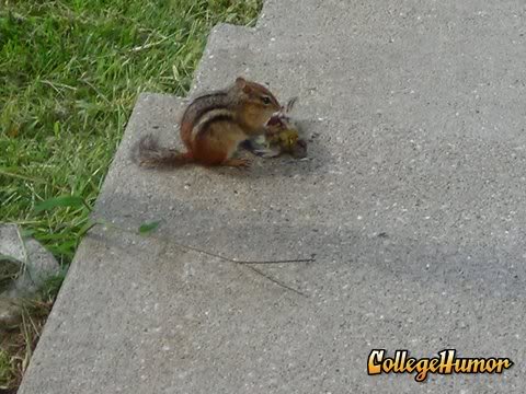 Name:  collegehumordddd17c6710c0388df8cbbe.jpg
Views: 152
Size:  41.9 KB