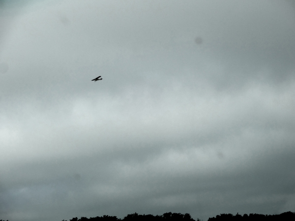 Name:  GEwGaX8.jpg
Views: 23
Size:  104.0 KB