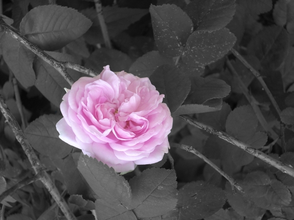 Name:  kBmKIYd.jpg
Views: 21
Size:  144.9 KB