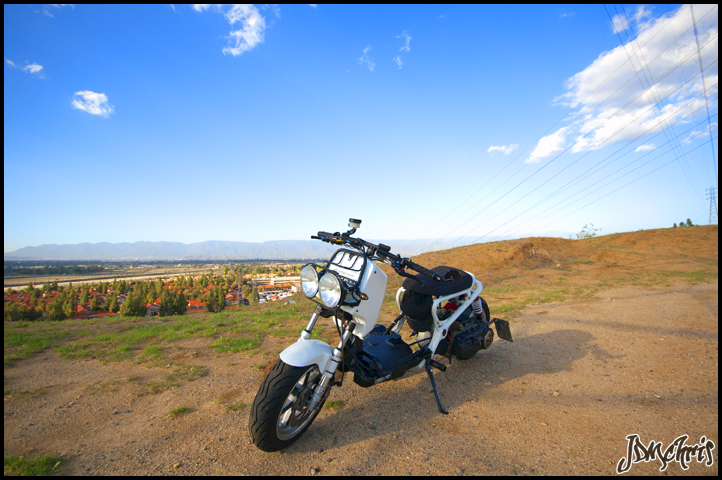 Name:  DSC_0147.jpg
Views: 651
Size:  329.8 KB
