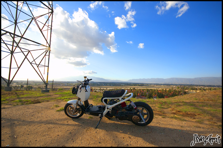 Name:  DSC_0145.jpg
Views: 663
Size:  358.1 KB