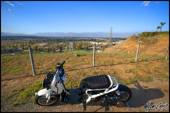 Name:  DSC_0142.jpg
Views: 652
Size:  416.1 KB