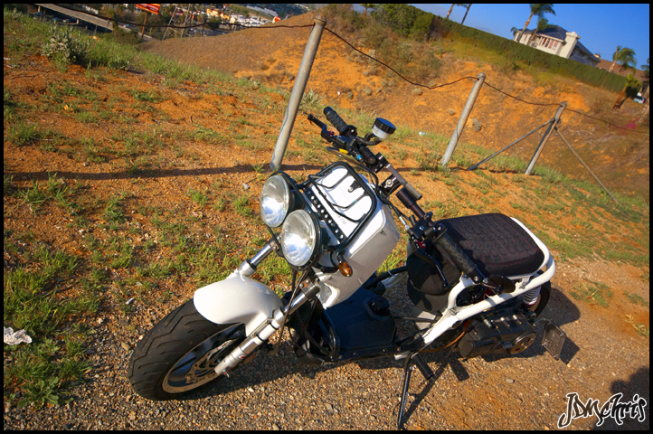 Name:  DSC_0141.jpg
Views: 656
Size:  515.7 KB
