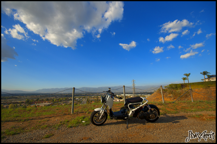 Name:  DSC_0136.jpg
Views: 664
Size:  327.7 KB