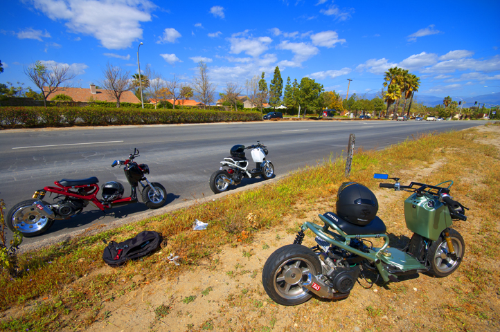 Name:  DSC_0133.jpg
Views: 626
Size:  475.4 KB