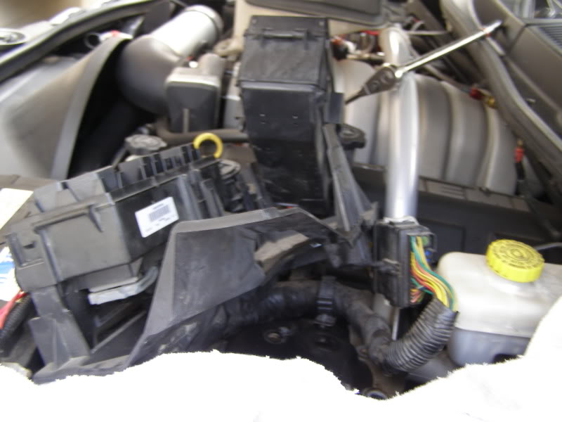 Name:  PB141141.jpg
Views: 44
Size:  69.9 KB