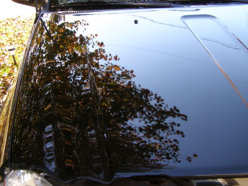 Name:  PB071133.jpg
Views: 59
Size:  124.6 KB