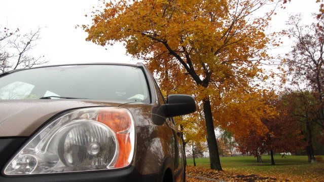 Name:  IMG_2266.jpg
Views: 69
Size:  87.0 KB