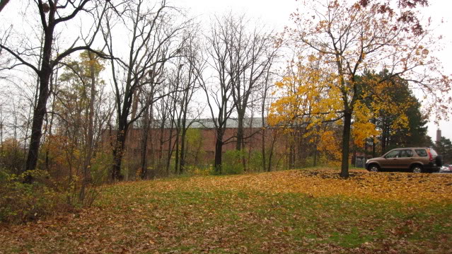 Name:  IMG_2267.jpg
Views: 62
Size:  107.7 KB