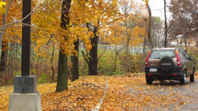 Name:  IMG_2273.jpg
Views: 49
Size:  99.3 KB