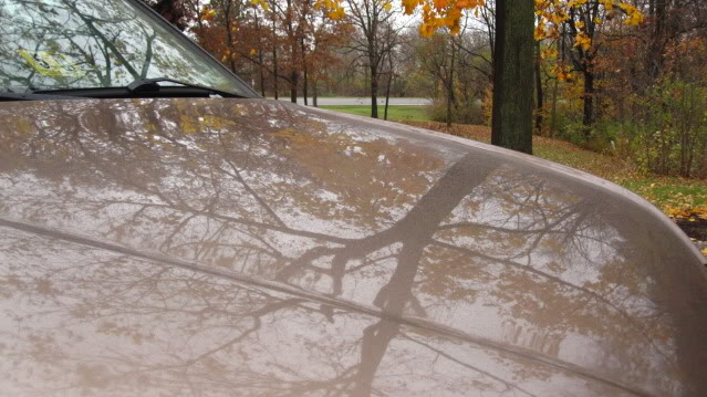 Name:  IMG_2284.jpg
Views: 49
Size:  73.0 KB