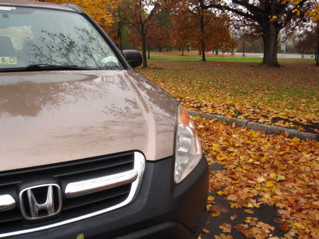 Name:  IMG_2288.jpg
Views: 70
Size:  96.1 KB