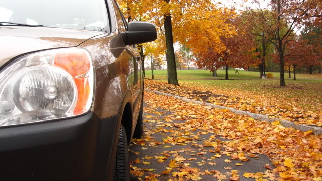 Name:  IMG_2258.jpg
Views: 58
Size:  90.5 KB