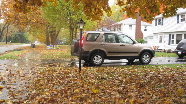 Name:  IMG_2249.jpg
Views: 54
Size:  103.1 KB