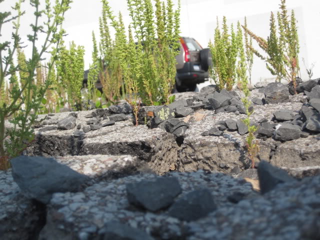 Name:  IMG_1982.jpg
Views: 64
Size:  96.2 KB