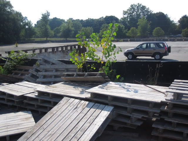 Name:  IMG_1999.jpg
Views: 96
Size:  84.1 KB