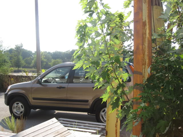 Name:  IMG_2005.jpg
Views: 66
Size:  91.7 KB