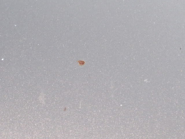 Name:  IMG_1907.jpg
Views: 80
Size:  60.6 KB