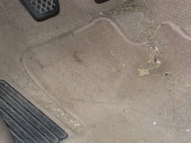 Name:  IMG_1911.jpg
Views: 59
Size:  65.2 KB