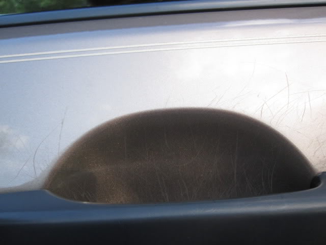 Name:  IMG_1918.jpg
Views: 72
Size:  33.9 KB