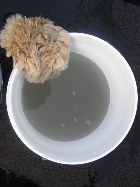 Name:  IMG_1933.jpg
Views: 73
Size:  48.2 KB