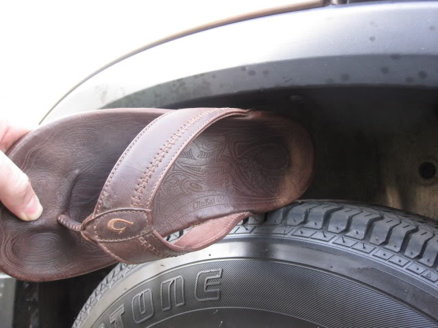 Name:  IMG_1942.jpg
Views: 57
Size:  60.4 KB