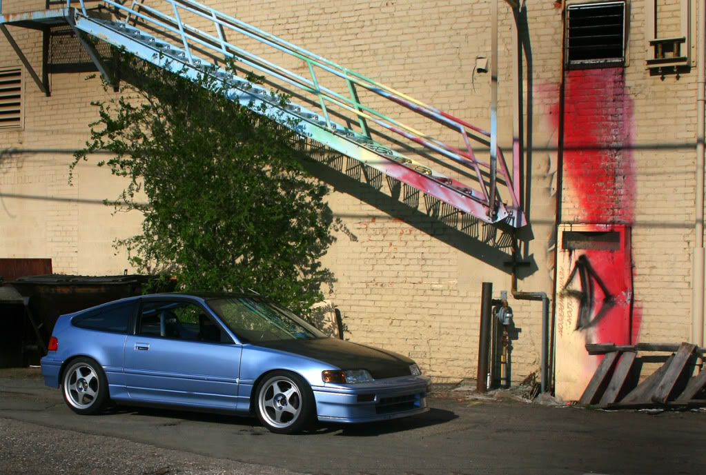 Name: rex1.jpg
Views: 356
Size: 179.3 KB