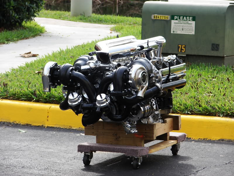 Name:  DSC02697.jpg
Views: 3183
Size:  125.4 KB