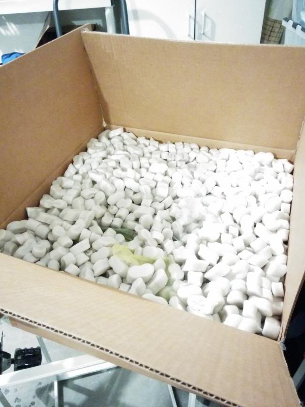 Name:  IMG_20140305_153257.jpg
Views: 75
Size:  52.7 KB