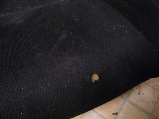 Name:  DSCF6310.jpg
Views: 103
Size:  35.5 KB