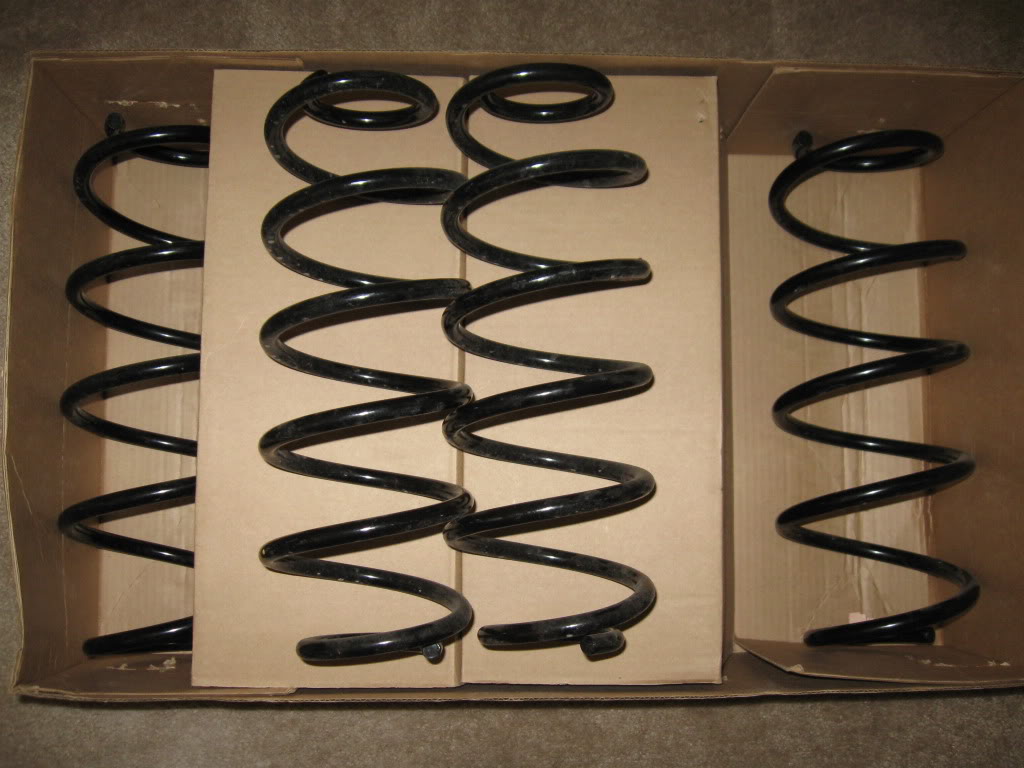 Name:  springs002.jpg
Views: 25
Size:  104.6 KB