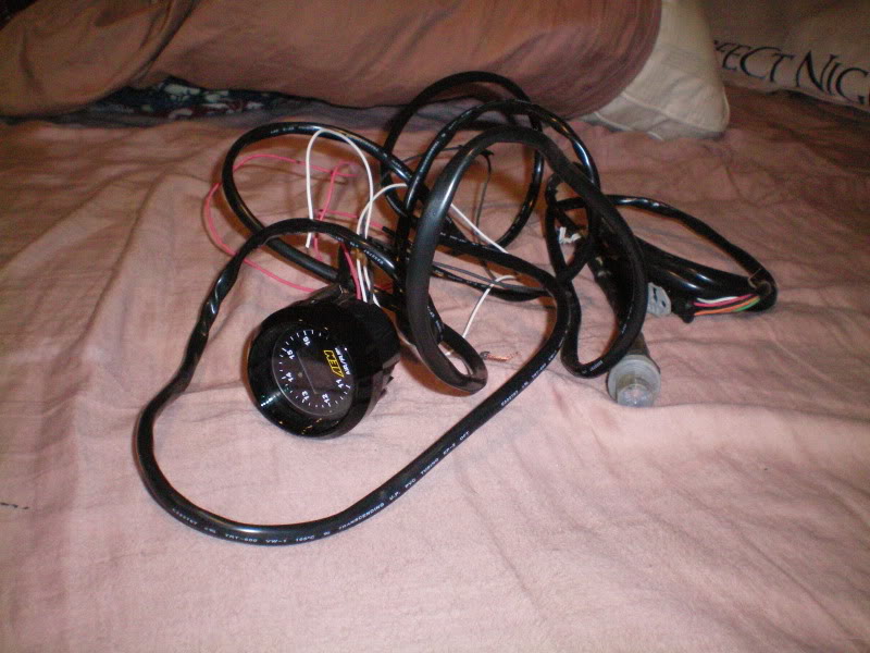 Name:  100_0248.jpg
Views: 31
Size:  138.7 KB