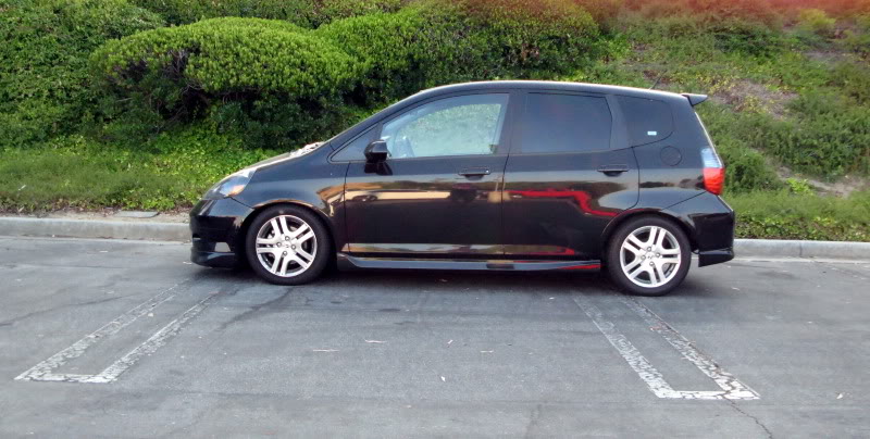 Name:  skunk2.jpg
Views: 1023
Size:  92.0 KB