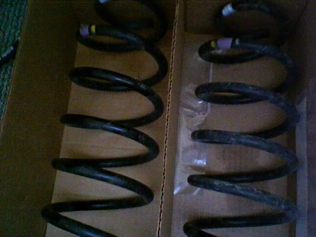 Name:  Photo6.jpg
Views: 26
Size:  41.2 KB