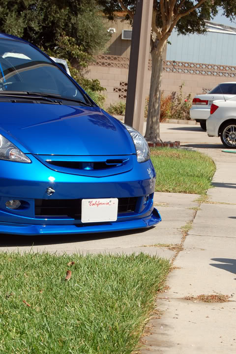 Name:  DSC_1855-1.jpg
Views: 37
Size:  105.4 KB