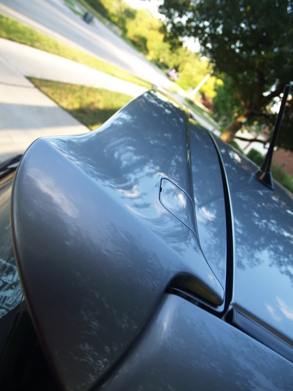 Name:  P9036302.jpg
Views: 32
Size:  59.6 KB