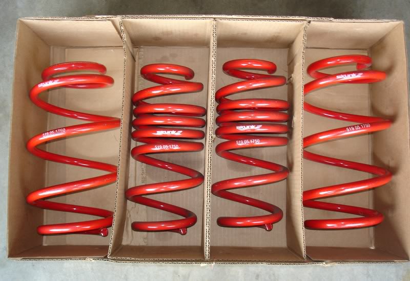 Name:  skunk2.jpg
Views: 60
Size:  78.1 KB